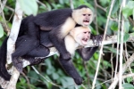 CostaRica1