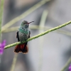 CostaRica3