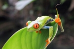 CostaRica4