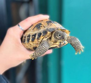 04d58be7-1c64-41bb-b299-16ae50e8266b