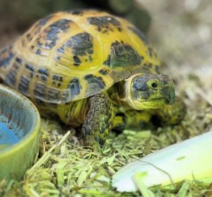 52fe4671-d99d-4e91-9566-5c7cf5f0b31d