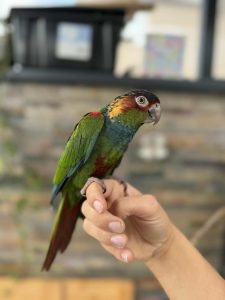 b36682f5-42df-4d41-927e-4bc887d34e60