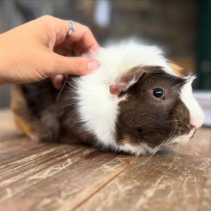 baddc392-cbfa-4ed9-8faa-4f3e22cb62a0