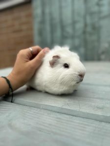 d043ba0a-4bc1-474d-80bc-780b0eff1d55